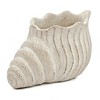 Chery Life Sand and Cement Conch Shell Planter with Textured Beige Finish - 2 of 4