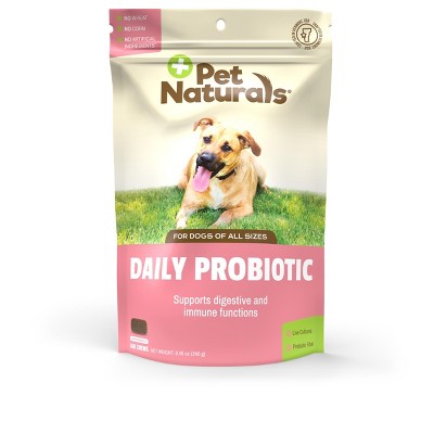 5 Reasons Why Probiotic Chews for Dogs Are a Game-Changer for Gut