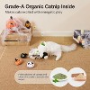 Potaroma 4 Pcs Cat Toys with Catnip Crinkle Sound - 3 of 3