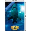 Trends International Shark Week - Smile Unframed Wall Poster Prints - 3 of 4