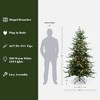 LuxenHome 6Ft Pre-Lit Artificial Fir Christmas Tree, Green Branches with Warm Lights & Metal Stand - 4 of 4