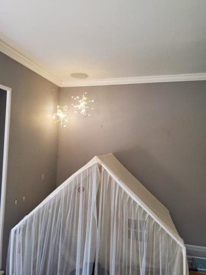 Guest review image 2 of 4, zoom in