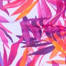 aloha fuchsia leaves
