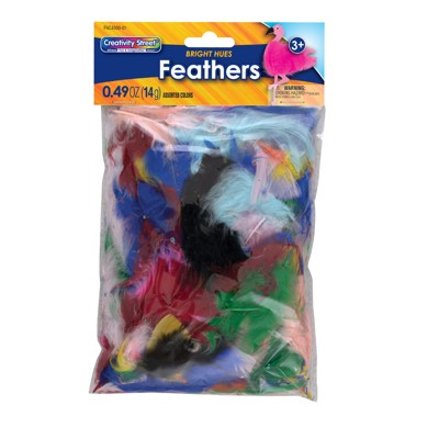 Creativity Street Turkey Plumage Feathers, Assorted Bright Hues, Assorted Sizes, 14 grams (Pack of 10)