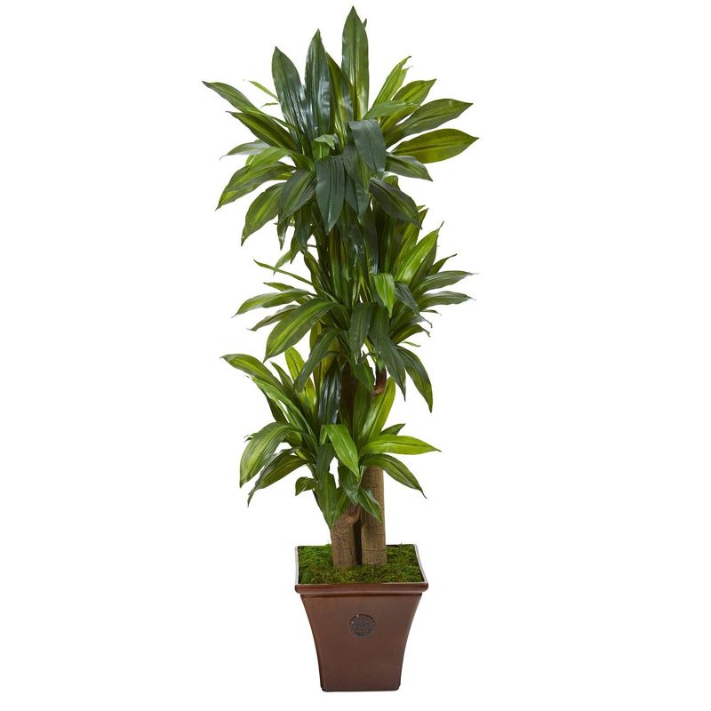 Nearly Natural 57-in Corn Stalk Dracaena Artificial Plant in Brown Planter (Real Touch), 1 of 3