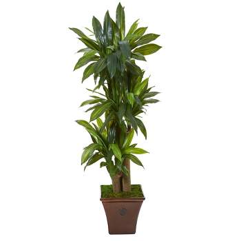 Nearly Natural 57-in Corn Stalk Dracaena Artificial Plant in Brown Planter (Real Touch)