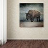 Trademark Fine Art -Jai Johnson 'Stormy Day Buffalo' Canvas Art - 3 of 3