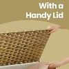 Storage Basket with Lid, 27.7 Gallon (105L) Woven Storage Bin. Features handles, a removable liner, and a metal frame. - 3 of 4