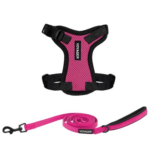 Voyager cat shop harness