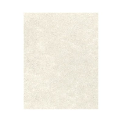 LUX Cardstock 8.5 x 11 inch Cream Parchment 50/Pack 81211-C-29-50