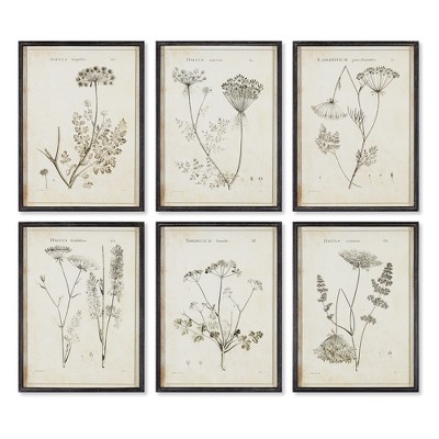 Plum & Post Wildflower Study, Set Of 6