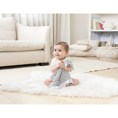 aden and anais lovey bunny