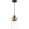 Quoizel Lighting Gathering 1 - Light Pendant in  Mystic Black - 3 of 4