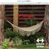 Northlight Macrame Hammock with Patterned Tassels - 78" x 31" - Brown - 4 of 4