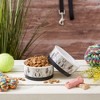 Bone Dry Pet Bowl - Set/2 - 3 of 4
