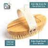 Firm Dry Body Brush, Anti-Cellulite Brush for Blood Circulation & Smoothing, Includes 1 Hand-Held Brush, M3 Naturals - 3 of 4