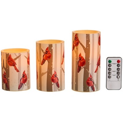 The Lakeside Collection Set of 3 Themed LED Candles