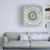 Trademark Fine Art -Danhui Nai 'Sunburst Neutral' Canvas Art - 2 of 4