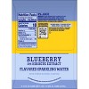 Topo Chico Sabores Blueberry Hibiscus Sparkling Water - 8pk/12 fl oz Cans - 2 of 4