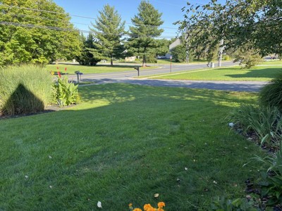 Guest review image 1 of 2, zoom in