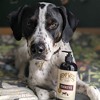 Hemp Well Thrive Oil for Dogs and Cats Everyday Health - Healthy Skin and Coat - 2 of 4