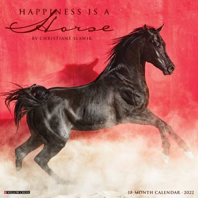 2022 Wall Calendar Happiness is a Horse - Willow Creek Press