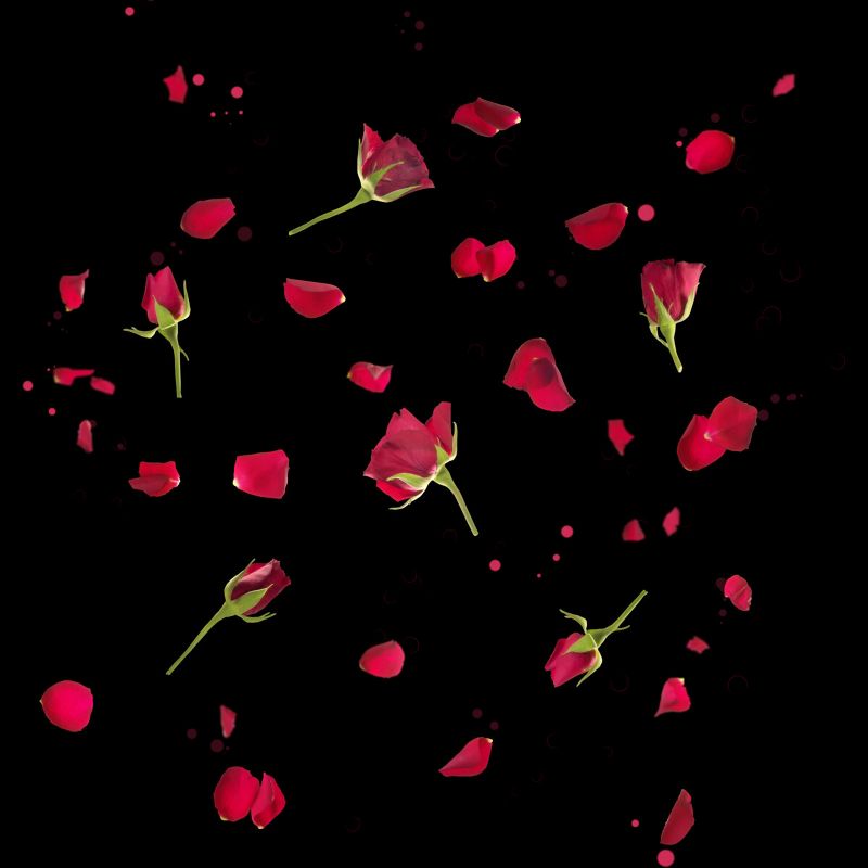 Junior's Design By Humans Sliced Roses and Petals By designnatures T-Shirt, 2 of 4