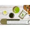 Organic Wheatgrass Powder (Triticum Aestivum) - 7oz (200g) - Rani Brand Authentic Indian Products - 3 of 4