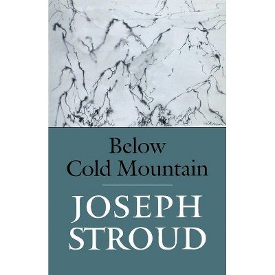 Below Cold Mountain - by  Joseph Stroud (Paperback)