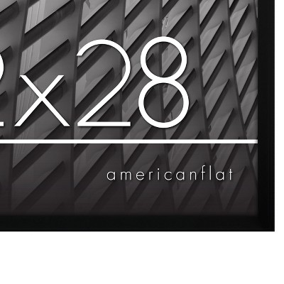 Streamline Black Aluminum 22" x 28" Wall Poster Frame