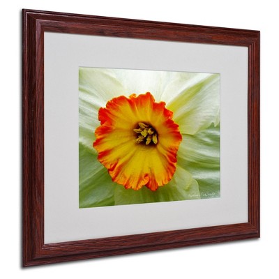 Trademark Fine Art - Kathie McCurdy 'Furnace Run Daffodil Large' Matted Framed