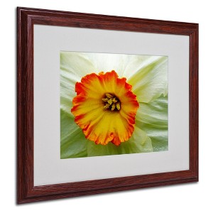 Trademark Fine Art - Kathie McCurdy 'Furnace Run Daffodil Large' Matted Framed - 1 of 3