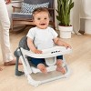 Chicco Take-A-Seat Booster Seat - Gray Star - 3 of 4
