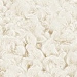 almond teddy loop with light wood base