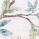 peacock|pink