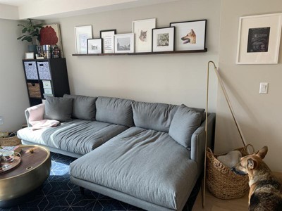 Guest review image 1 of 1, zoom in