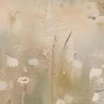 luster gray