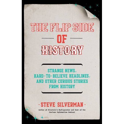 The Flip Side of History - by  Steve Silverman (Paperback)