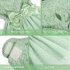 Dog Dress Pet Wedding Dress Princess Lace Puppy Birthday Party Outfit Formal Girl Apparel - 4 of 4