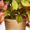 XL Fall Leaf Statement Arrangement - Threshold™ designed with Studio McGee - 4 of 4