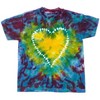Jacquard Economy Tie-Dye Kit, Supplies for up to 30 Students, Assorted Primary Colors - 3 of 4