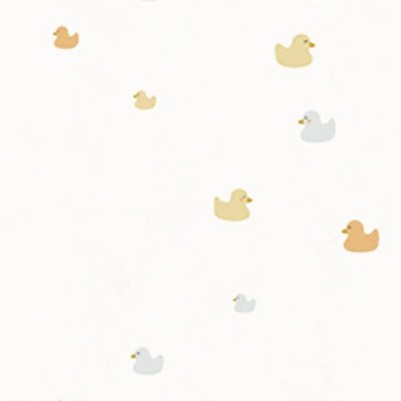 ducks