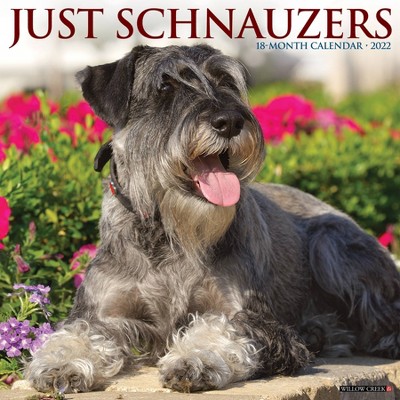 2022 Wall Calendar Just Schnauzers - Willow Creek Press