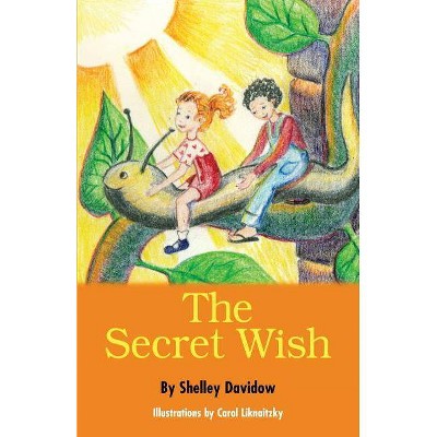 The Secret Wish - by  Shelley Davidow (Paperback)