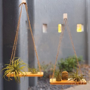 Air Plant Stand and Swing Collection - 1 of 4