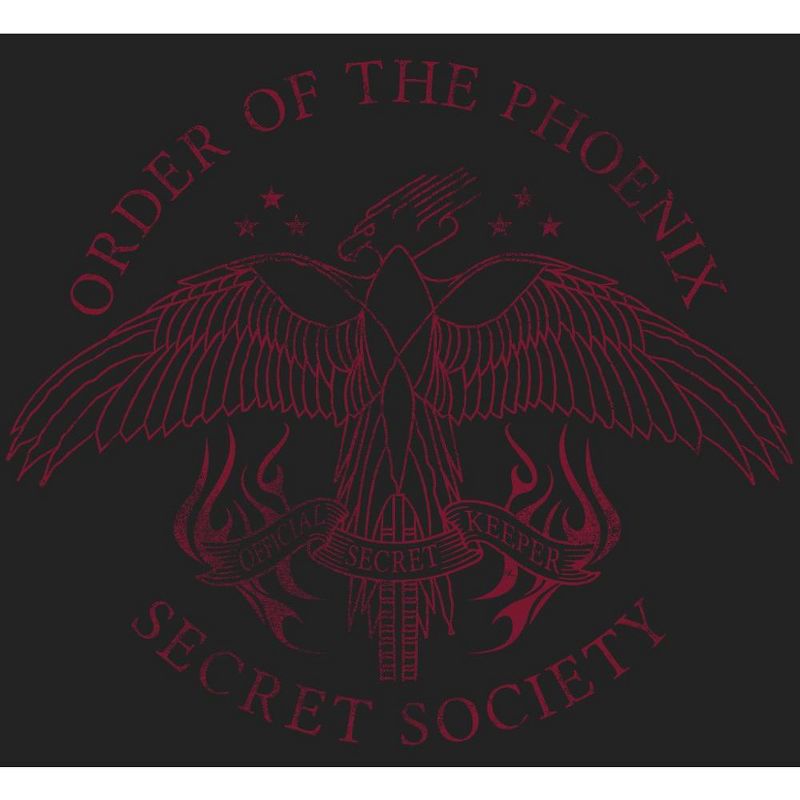 Harry Potter Order of the Phoenix Symbol Men's Black T-shirt, 2 of 3