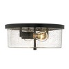 Golden Lighting Rayne Flush Mount - 3 of 4