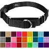 Country Brook Petz Heavy Duty Nylon Martingale Dog Collar with Deluxe Buckle - 30+ Vibrant Color Options - 2 of 4