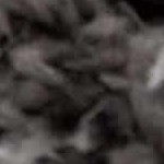 medium gray
