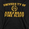 University of Arkansas at Pine Bluff Official Circle Logo Adult Pull-Over Hoodie - 2 of 4